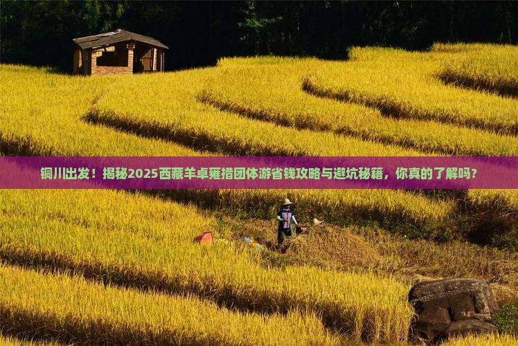 铜川去西藏羊卓雍措团体旅游