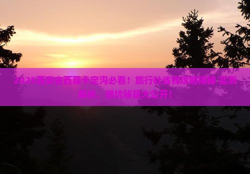 西安去西藏卡定沟旅行社
