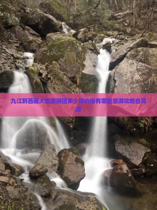 九江到西藏大型旅游团