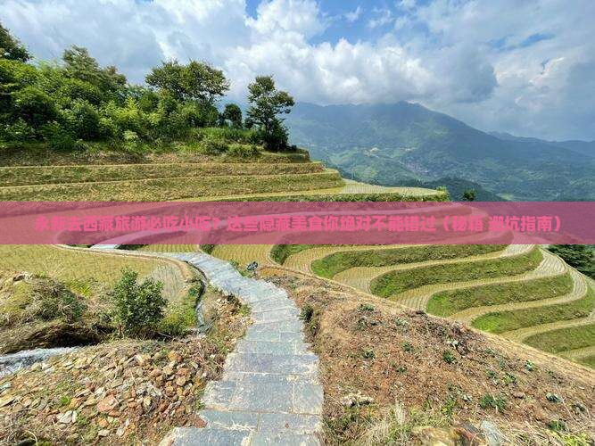 永新去西藏旅游小吃