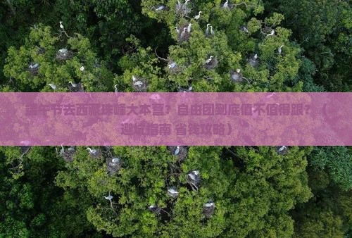 端午节去西藏珠峰大本营自由团
