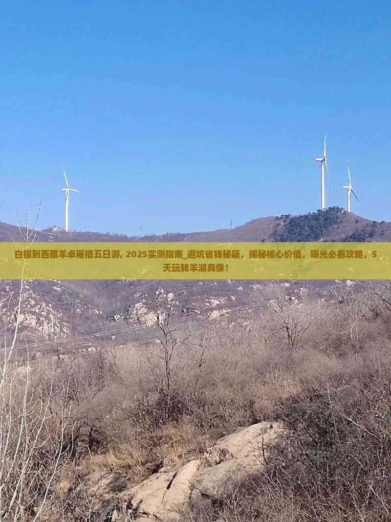 白银到西藏羊卓雍措五日游