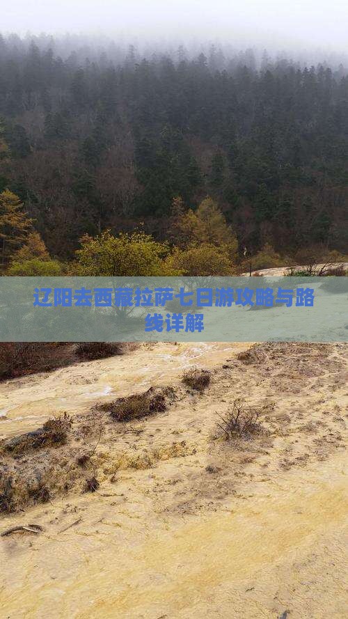 辽阳去西藏拉萨七日游