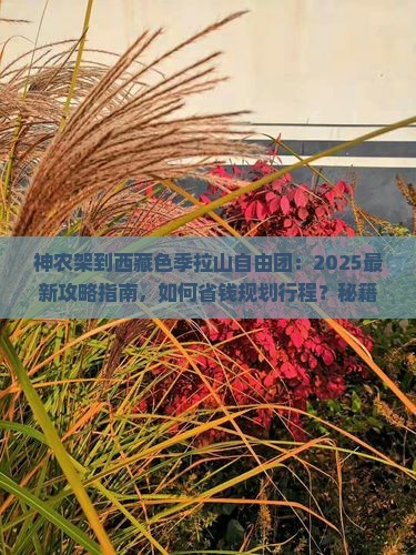 神农架到西藏色季拉山自由团