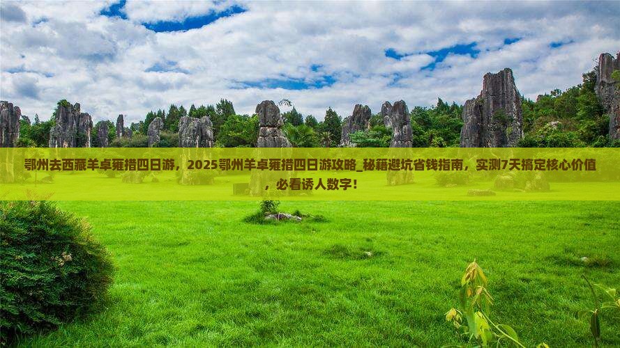 鄂州去西藏羊卓雍措四日游