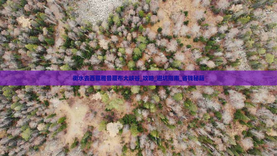 衡水去西藏雅鲁藏布大峡谷攻略