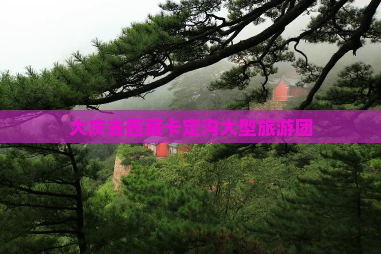大庆去西藏卡定沟大型旅游团