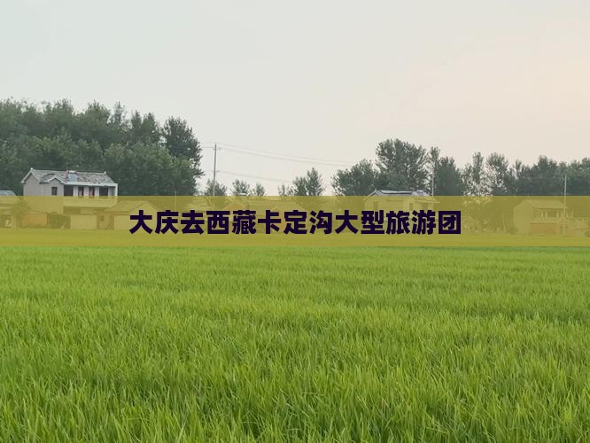 大庆去西藏卡定沟大型旅游团
