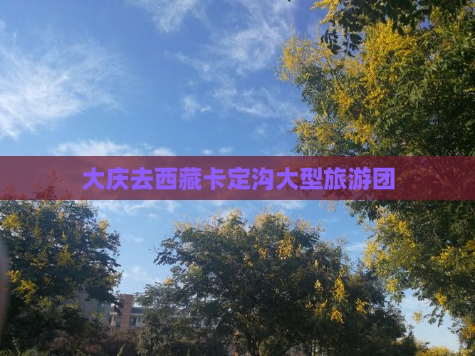 大庆去西藏卡定沟大型旅游团