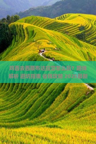 鸡西去西藏布达拉宫哪里玩