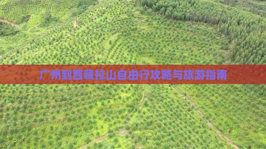 广州到西藏色季拉山自由行