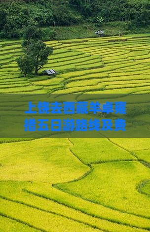 上饶去西藏羊卓雍措五日游