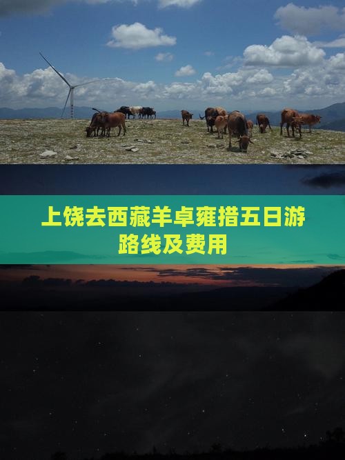 上饶去西藏羊卓雍措五日游