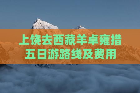 上饶去西藏羊卓雍措五日游