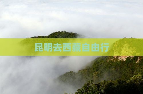 昆明去西藏自由行