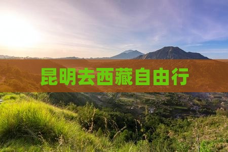昆明去西藏自由行