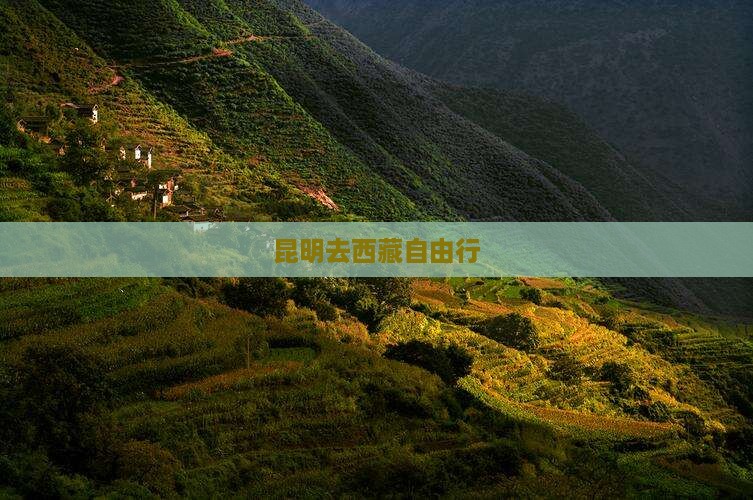 昆明去西藏自由行