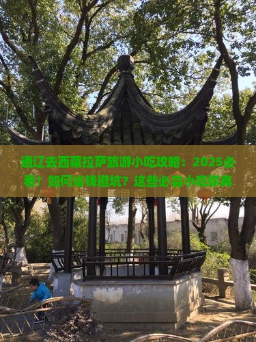 通辽去西藏拉萨旅游小吃