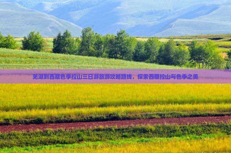 芜湖到西藏色季拉山三日游
