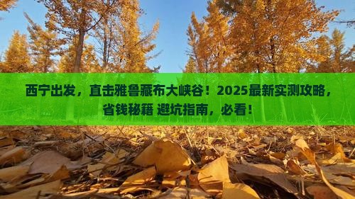 西宁去西藏雅鲁藏布大峡谷自由团