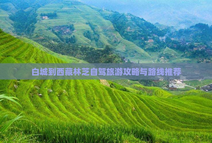 白城到西藏林芝旅游