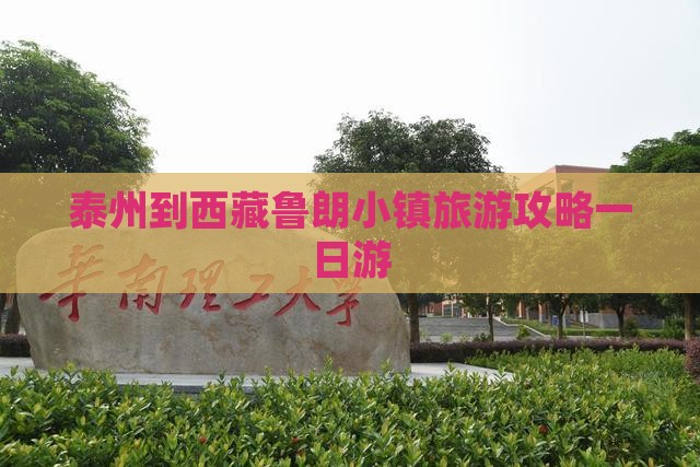 泰州到西藏鲁朗小镇一日