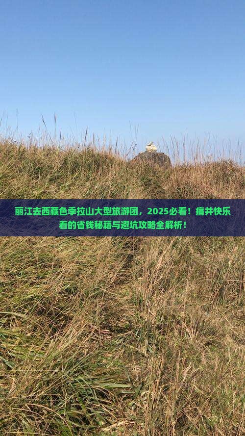 丽江去西藏色季拉山大型旅游团