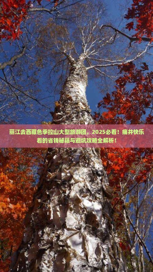 丽江去西藏色季拉山大型旅游团