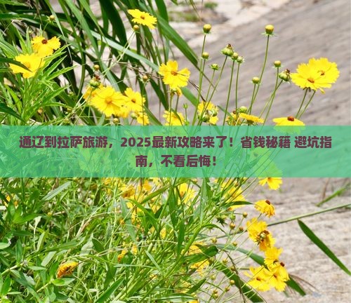 通辽市到西藏拉萨旅游