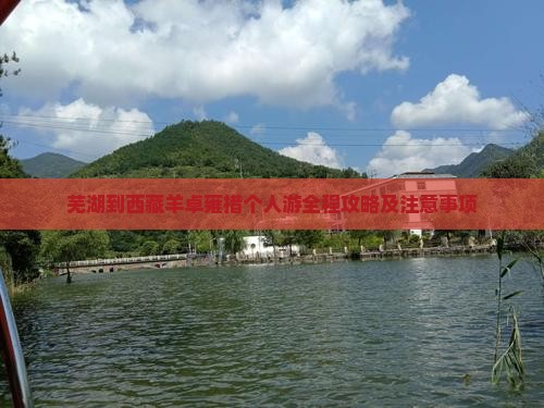 芜湖到西藏羊卓雍措个人游