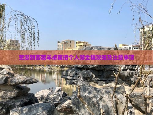 芜湖到西藏羊卓雍措个人游