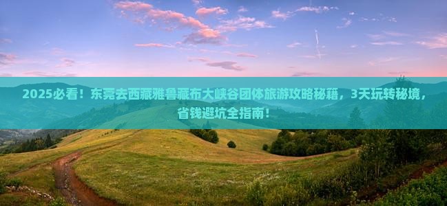 东莞去西藏雅鲁藏布大峡谷团体旅游