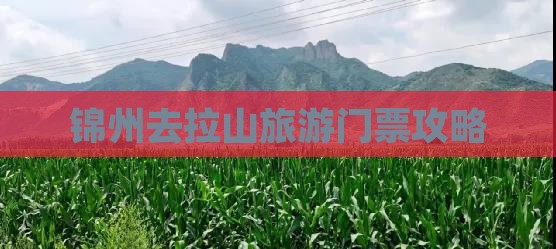 锦州去西藏色季拉山门票