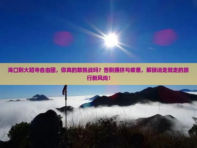海口到西藏大昭寺自由团