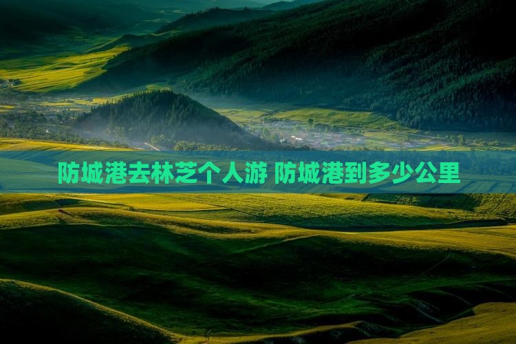 防城港去西藏林芝个人游