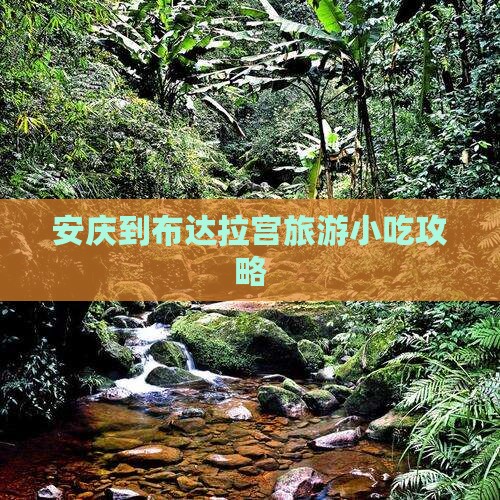 安庆到西藏布达拉宫旅游小吃