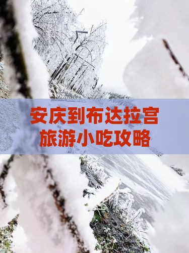 安庆到西藏布达拉宫旅游小吃