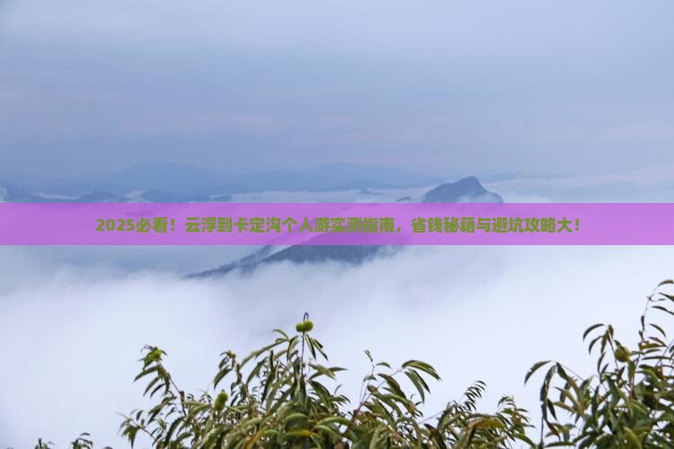 云浮到西藏卡定沟个人游