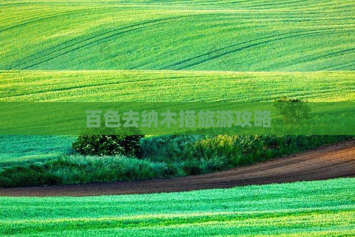 百色去西藏纳木措团体旅游