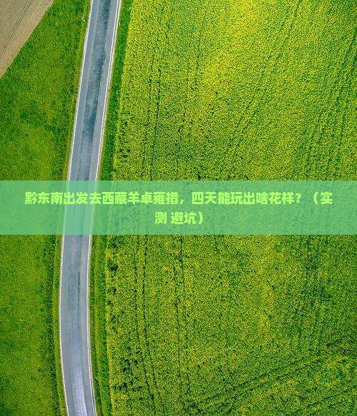 黔东南去西藏羊卓雍措四日游