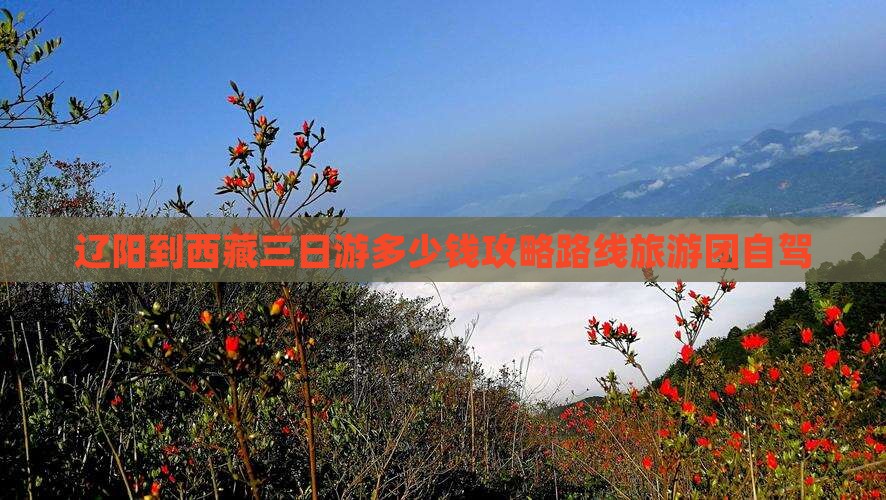 辽阳到西藏三日游