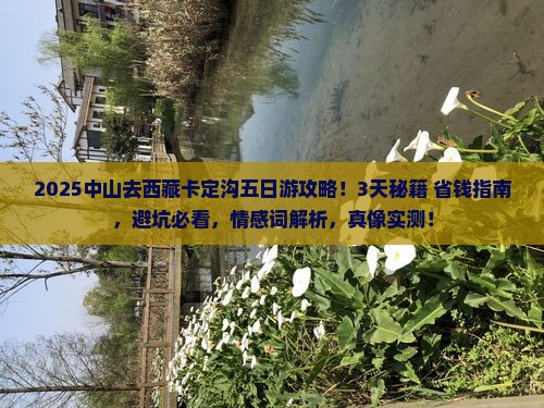 中山去西藏卡定沟五日游