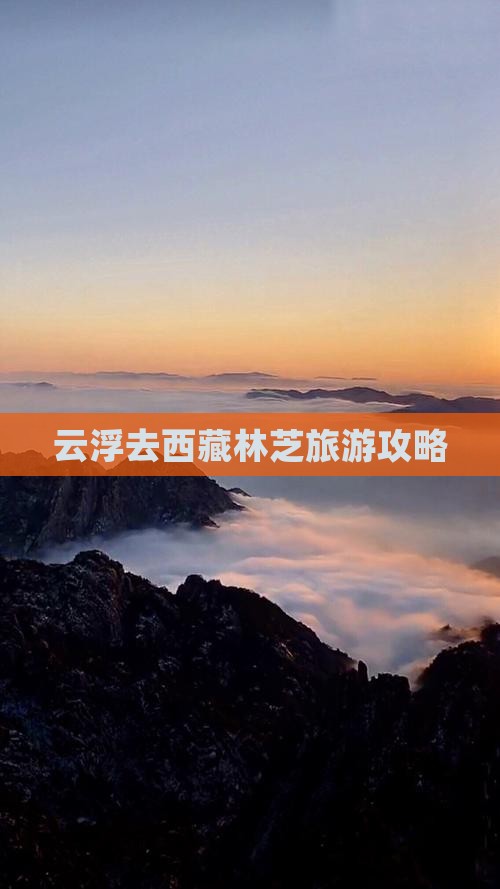 云浮去西藏林芝自由团