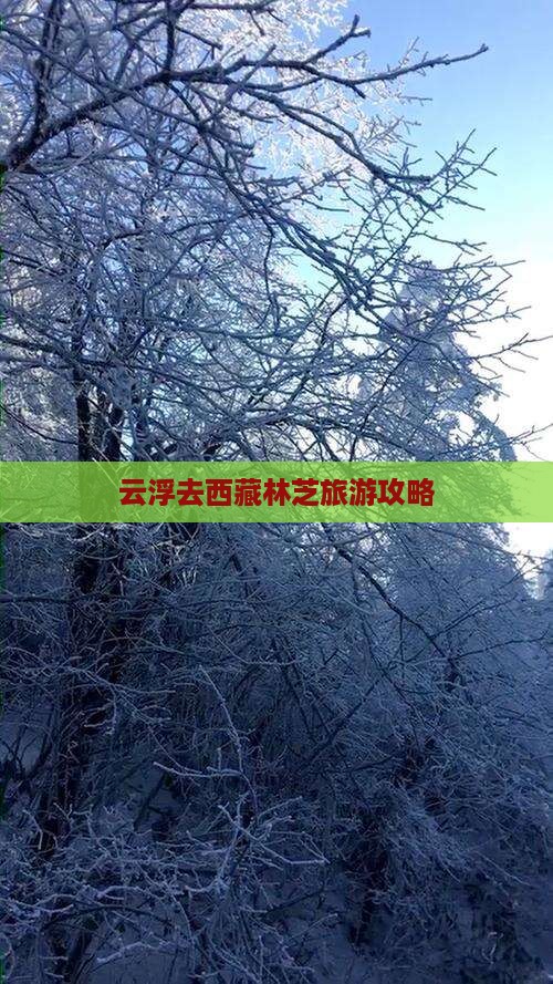 云浮去西藏林芝自由团