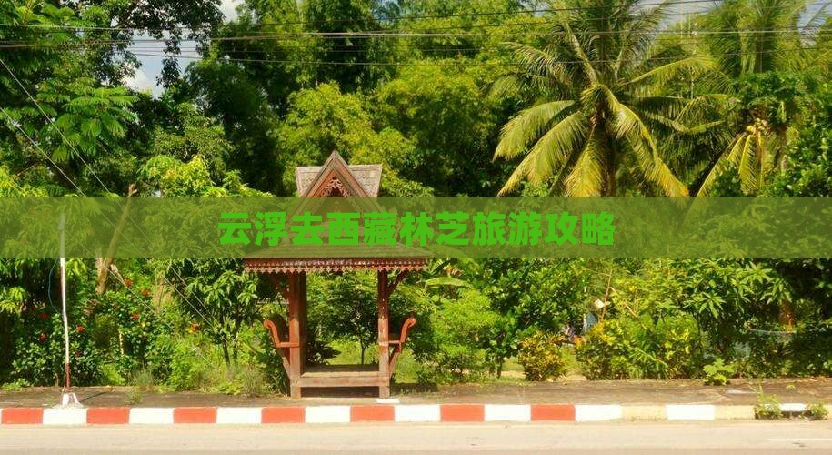 云浮去西藏林芝自由团