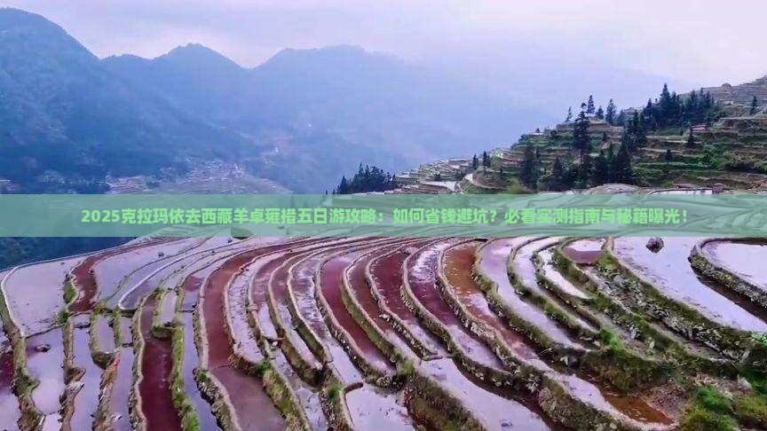 克拉玛依去西藏羊卓雍措五日游