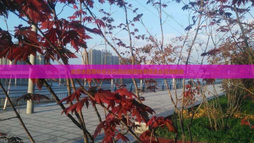 自贡去西藏林芝五日游