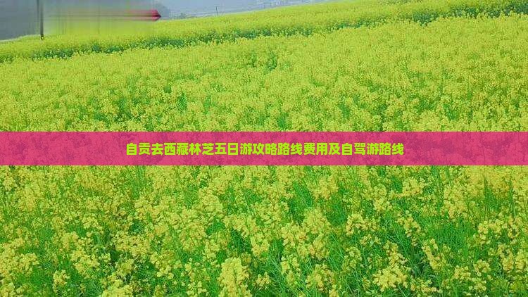 自贡去西藏林芝五日游