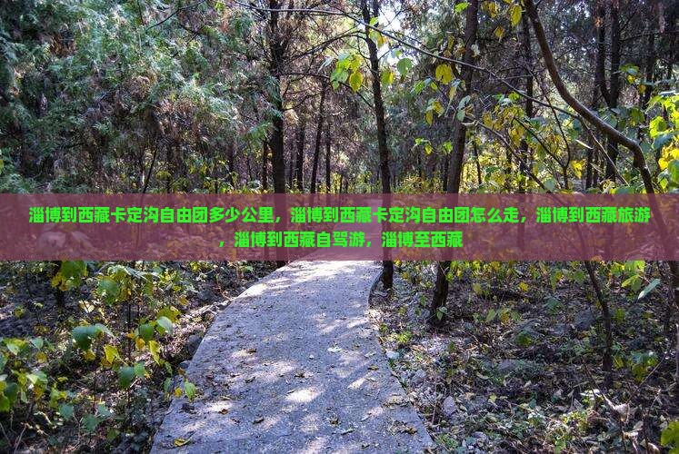 淄博到西藏卡定沟自由团