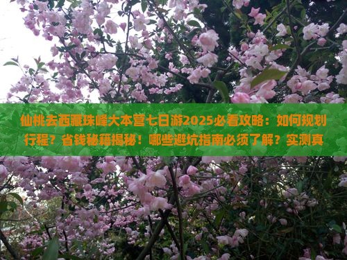 仙桃去西藏珠峰大本营七日游